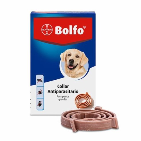 BOLFO COLLAR GRANDE PERROS BAYER MARRON